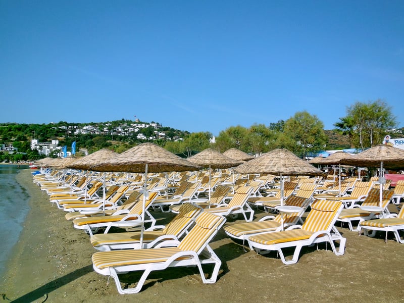 Camel Beach